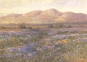 unknow artist Lupine in Kern County oil on canvas